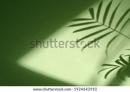 Green background with shadow of palm leaves. Ecology, nature, purity and authenticity concept. Texture template for design, mock up, wallpaper, poster, banner, announcement, invitation, greeting card.