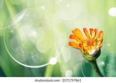 Green background with a soft flower, blurred texture. The background features light green hues and abstract circular patterns, creating a dreamy effect. Environment background. Flower backdrop.