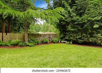Green backyard area with wooden fence and decoration