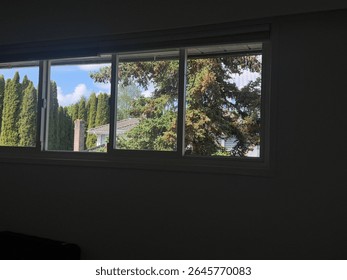 Green backyard view through a window

A calm backyard scene with evergreen trees and a neighboring house as viewed through a large residential window.