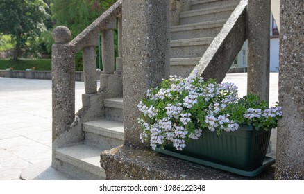 2,939 Concrete Flower Boxes Images, Stock Photos & Vectors | Shutterstock