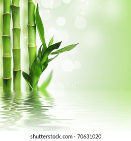 Green bamboo against bokeh background