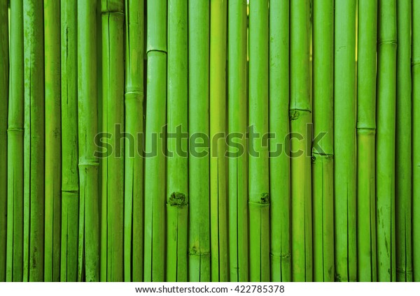 竹の背景に緑の竹のフェンスのテクスチャー の写真素材 今すぐ編集