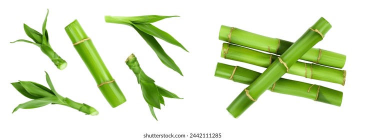 Green bamboo with leaves isolated on white background with full depth of field. Top view. Flat lay - Powered by Shutterstock