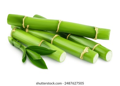 Green bamboo with leaves isolated on white background with full depth of field