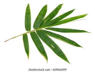 Leaf Bamboo Isolated On White Background Stock Photo (Edit Now) 418500934