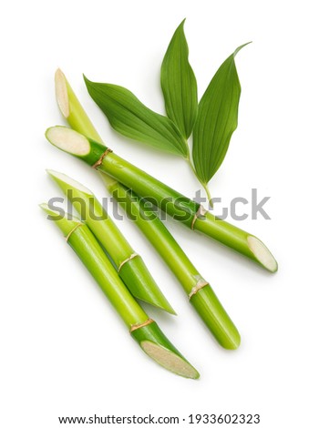 Green bamboo with leaves isolated on white background