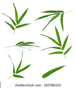 Green Bamboo Leaves On A White Background