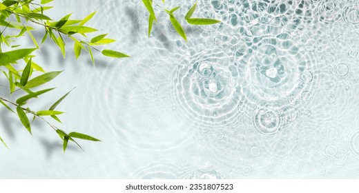 green bamboo plant on transparent fresh raindrop water surface, beautiful spa background wallpaper decoration with asian spirit for travel, cosmetics and vacations