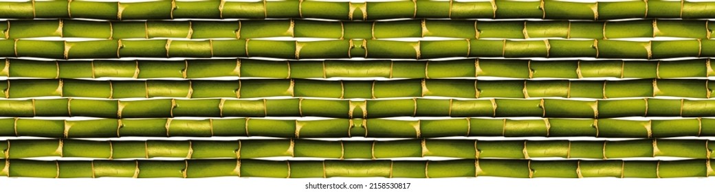 Green bamboo seamless wall and fence texture, green bamboo background