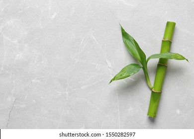 Green bamboo stem with leaves on light background, top view. Space for text