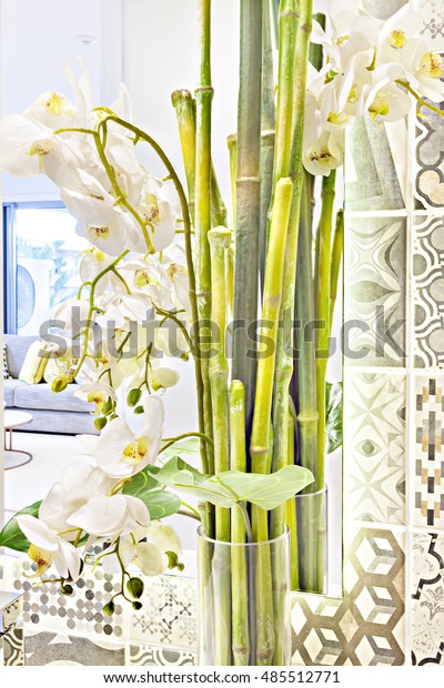 Green Bamboo Sticks White Flowers Vase Stock Photo Edit Now