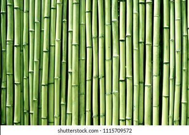 107,240 Green bamboo texture Images, Stock Photos & Vectors | Shutterstock