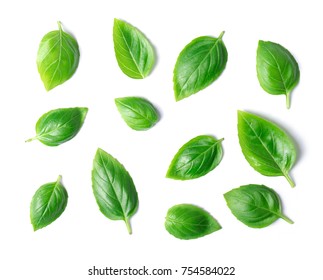 Green basil leaves isolated on white background - Shutterstock ID 754584022