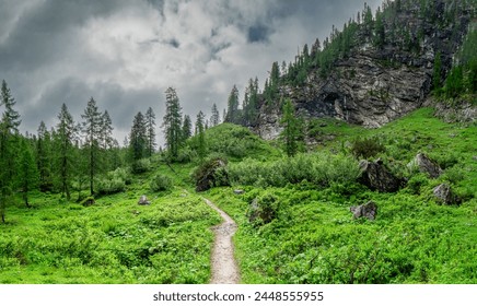 Green Bavarian Landscape hike along the Berchtesgaden Mountains during a foggy morning before the rain come  - Powered by Shutterstock