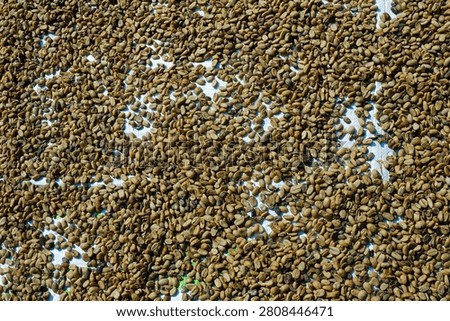 Green beans Coffee, Background of grean beans coffee