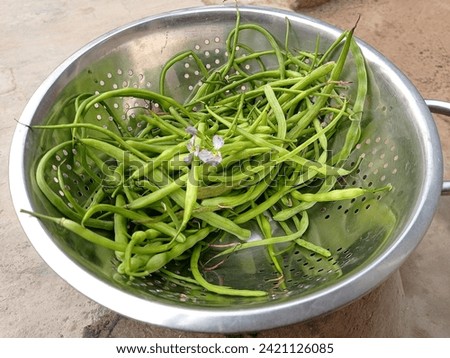 Green beans are long, slender, and bright green in colr. They are a popular vegatable and can be steaned, boiled stir-fried, or even roasted. they are a versatile ingredient and can be used in a wide 