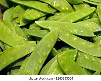 green beans in shell                                - Shutterstock ID 1243233304