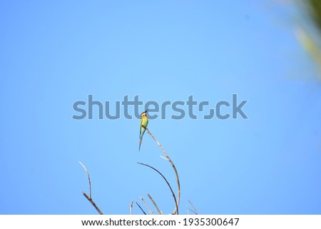 Similar – Image, Stock Photo On the ascending branch