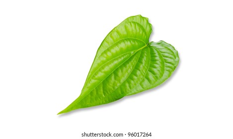 Betel Leaf Images, Stock Photos & Vectors 