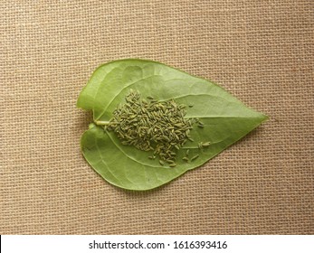 Green Betel Quid Or Paan With Fennel Seeds