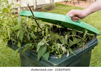 Green bin container filled with garden waste. Spring clean up. Gardening Recycling garbage for a better environment. - Shutterstock ID 2130295691