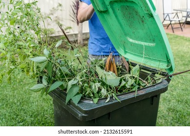 Green Bin Container Filled With Garden Waste. Spring Clean Up. Gardening Recycling Garbage For A Better Environment.