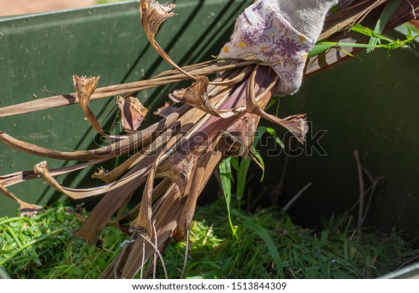 Green Bin Container Filled Garden Waste Stock Photo Edit Now