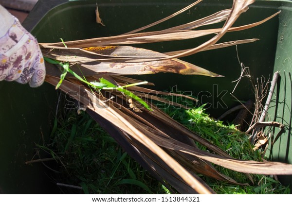 Green Bin Container Filled Garden Waste Stock Photo Edit Now
