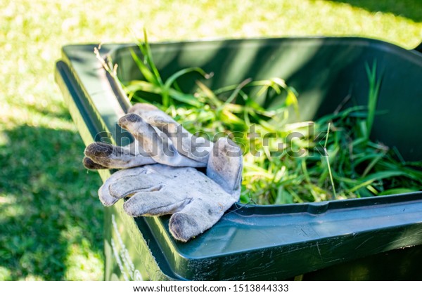 Green Bin Container Filled Garden Waste Stock Photo Edit Now