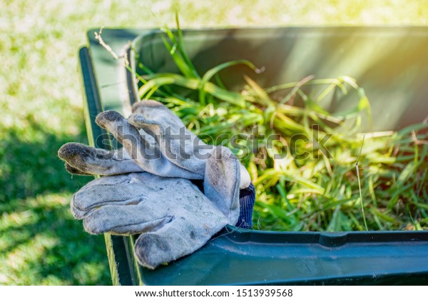 Green Bin Container Filled Garden Waste Stock Photo Edit Now