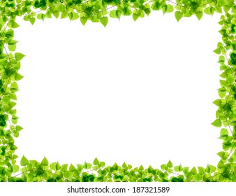 30,471 Birch Frame Images, Stock Photos & Vectors | Shutterstock