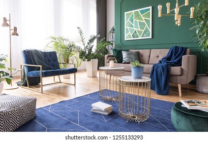 Green And Blue Living Room Interior Design With Rug, Coffee Tables And Comfortable Furniture