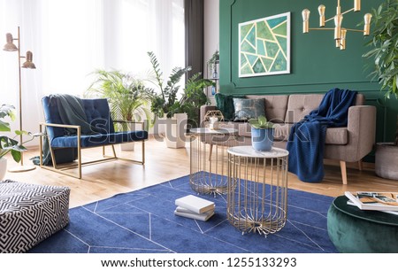Green and blue living room interior design with rug, coffee tables and comfortable furniture