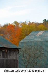 Green And Blue Metal Roof Of Barn With Tree In Front Fall Foliage Of Trees In Background Blue Sky Above Vertical Format Room For Type Farming Background Or Rural Architectural Good Composition 