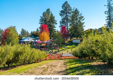 Green Bluff, Washington, USA - October 3 2021: Families Enjoy The Annual October Harvest Festival At Autumn, With Pumpkin Patches, Live Music And Festival Booths In Rural Green Bluff, Near Spokane, Wa