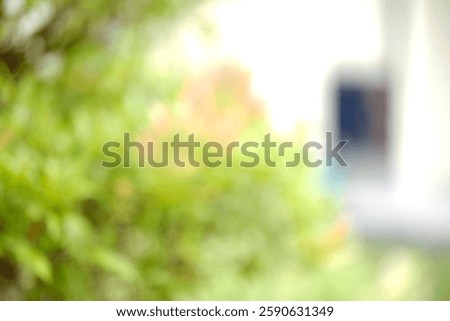 Green blured background for design