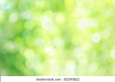 Green Blurred Backdrop. Abstract Background Wallpaper.