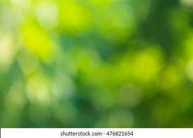 Green Blurred Background