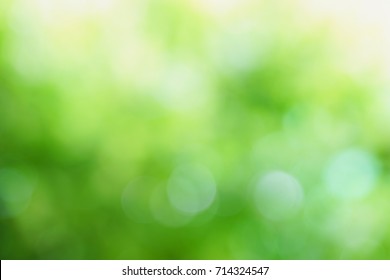 Green Blurred Background Of Green Leaves