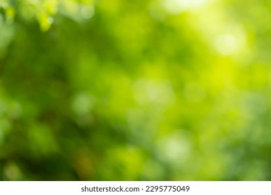 green blurred nature background image - Powered by Shutterstock