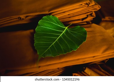 green bodhi leaf on yellow robe, buddhism  