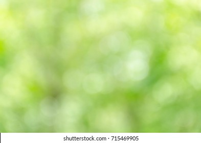 green bokeh abstract light background - Shutterstock ID 715469905