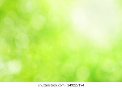 Green Bokeh Background