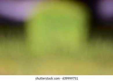 green bokeh background
