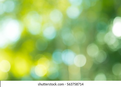 green bokeh background,green bokeh,green bokeh abstract - Shutterstock ID 563758714