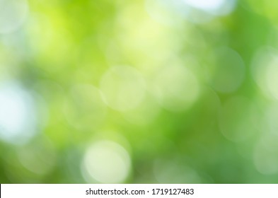 Green Bokeh Light Background Blur