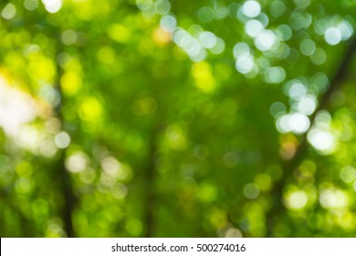 Green bokeh nature abstract background