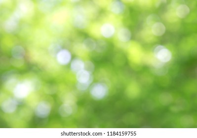 Green bokeh on nature abstract blur background green bokeh from tree.Mock up for display.  montage of product,Banner or header for advertise on social media,Spring and Summer. - Shutterstock ID 1184159755
