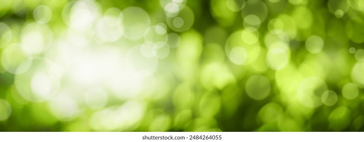 Bokeh verde en la